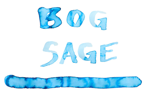 Dominant Industry Bog Sage